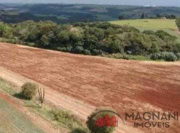 Rural · 2925m² · Chácara com 2.925m² na Área Rural de Marialva