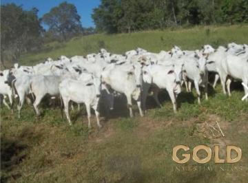 Rural · 440000000m² · Fazenda a venda Camapuã MS