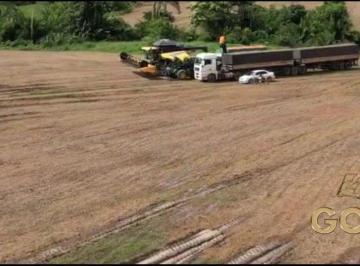 Rural · 6480000m² · Fazenda a venda no município de Nova Guarita MT
