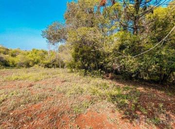 Rural · 12000m² · VENDA | Chácara,  em Jardim Concórdia, Toledo