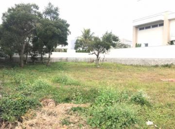 f53ad0686d2da3e8b85ff8fe8823500adc9c755b · Terreno no AmoraeVille em Jurerê Internacional - Florianópolis SC