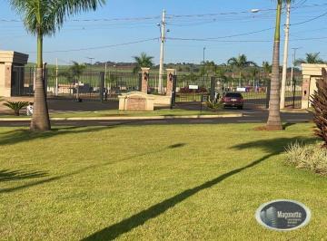 df508fe963f12375df526197a5c00566e8cde470 · Terreno à venda, 250 m² por R$ 270.000,00 - Recreio Anhangüera - Ribeirão Preto/SP