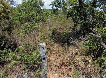 Rural , Alto Paraíso de Goiás · CHÁCARA 4,3 ha PONTEZINHA 2 Km Cidade