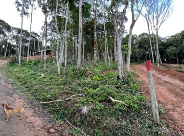 Terreno · 700m² · Lote / Terreno em Centro - São Lourenço da Serra