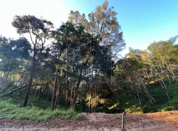 Terreno · 1318m² · Lote / Terreno em despésio -  São Lourenço da Serra