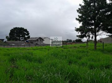 Terreno · 1273m² · Terrenos / Lotes /   -  São José dos Pinhais