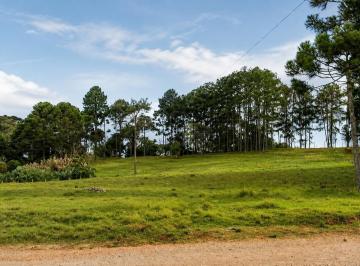 Terreno · 40000m² · Terreno para Venda • 40.000 m² • São José dos Pinhais - PR