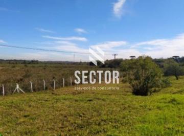 Terreno · 19360m² · Área à venda em São José dos Pinhais