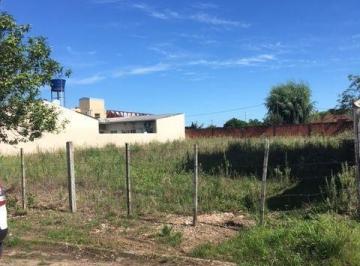 Terreno · 500m² · Terreno à venda - em Pinheiro Machado