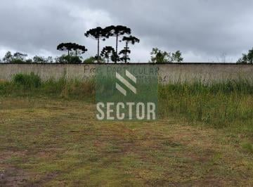 Terreno · 948m² · Venda de Terreno no Centro -  São José dos Pinhais