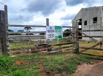 Comercial · 700m² · Galpão para Locação • 700 m² • São José dos Pinhais - PR