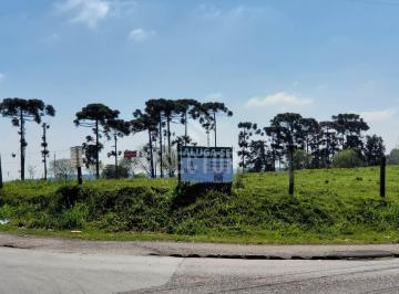 Terreno · 20000m² · Terrenos / Lotes / Condomínio  em Rio Pequeno  -  São José dos Pinhais