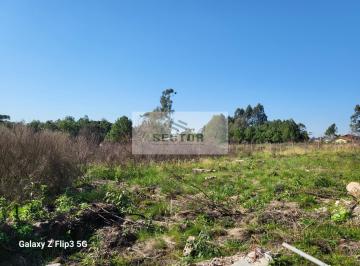 Terreno · 11000m² · Terrenos / Lotes / Condomínio em Campo Largo da Roseira - São José dos Pin...