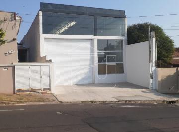 Comercial · 600m² · Barracão em Marília - Marília