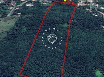 Terreno · 46250m² · Terreno vista mar com 46.250 m² na Praia da Gamboa, Garopaba SC.