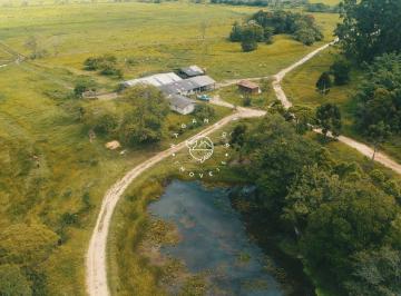 Rural · 800ha · 3 Quartos · Fazenda à venda em Penha, Paulo Lopes.