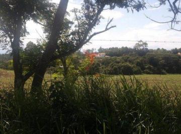 Notice: Undefined offset: 7 in /home/vivalisto/htdocs/vivalisto.com.br/src/flity/www2/__imovelweb.php on line 551 · Terreno 5000m² Clube Dos 500 Guaratingueta/SP