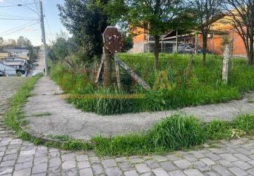 366db53d244381069ff9e627b0b78b1278eeb43a.jpg · Terreno comprar bairro São Ciro 