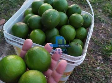 cf156a6056f0a97728986d1f9c6195cfcc7429c7 · Chácara com 4 dormitórios à venda, - Planalto - Abreu e Lima/PE