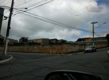 f49bf98bd5f14fac3d3fd21f2128647574241b81 · Terreno para alugar, 875 m² por R$ 31.200,00/mês - Vila Antonieta - São Paulo/SP