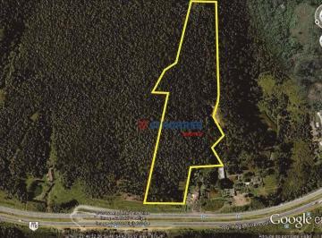 190a806fabcb17ea890715b4be4a19805223fefa · Terreno à venda, 63200 m² por R$ 8.220.000,00 - Itaquaciara - Itapecerica da Serra/SP