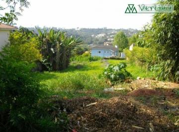 cba97d7fb2d6eca2303bdbb673a24b91dc072096 · Granja Viana - Granja Viana II