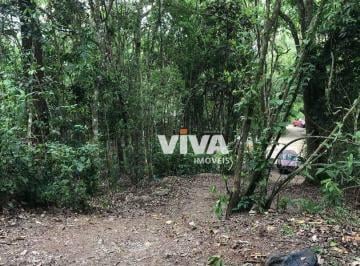 57be08e4b1a0019a0c857c5d8fa4333a53b8e234 · Terreno à venda, 1230 m² por R$ 510.000,00 - Fazenda - Itajaí/SC