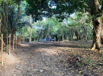 16f79d3731c975d666bd0d876ba21421c4d08ebe · Terreno à venda, 5 m² por R$ 400.000,00 - Praia do Forte - Mata de São João/BA