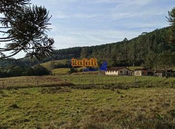 p2nfo4i2nmezzwzhztmyztk2_md · Venda 75 Hectares, Casa Sede, Cachoeiras, pastagem em Anitápolis