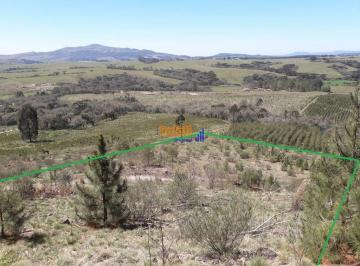 xeh2b2a2njfhy2izzwmyngew_md · 2 HECTARES 20.000 METROS VENDA EM LAGES SC OTIMO PREÇO LINDA VISTA COM NASCENTE