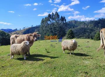 thicuic2nmq1nmjmyju4owi0_md · SITIO CHACARA VENDA IVERNADINHA RANCHO QUEIMADO - SC 10.000 METROS QUADRADOS