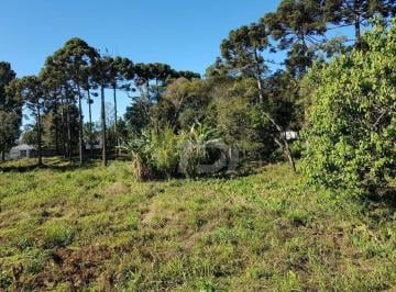 f90444052be87a501308d4ad7024181e9a298d95 · Terreno à venda, 2100 m² por R$ 3.135.000,00 - Centro - Campo Largo/PR