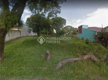 362669_i40456v1c90348yD_36266961f0088f06a28.jpg · Terreno no bairro Nova Sapucaia