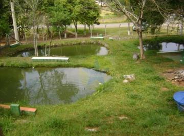 e96cdc21bf06cc4ddc7398a048f16fadeacc0c50 · Chácara à venda, 5000 m² por R$ 750 Mil, Piracaia SP