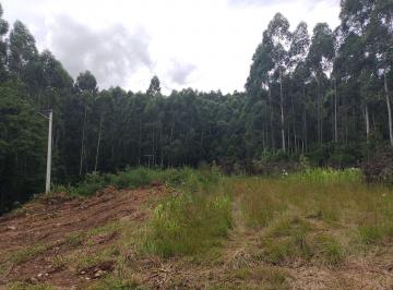 Rural · 30000m² · Área à venda Santo Antônio de Castro - Carlos Barbosa/RS