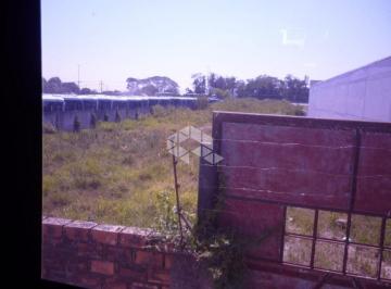 53555_53555_114177.jpg · Terreno plano, murado, medindo 22 x 141,70, na rua voluntários da pátria