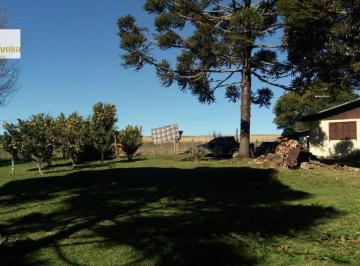 Rural · 56ha · 3 Quartos · Fazenda para Venda em Capão Alto São Francisco de Paula-RS