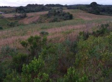 Rural · 131ha · Fazenda Pecuária para Venda em Picada Jaquirana-RS