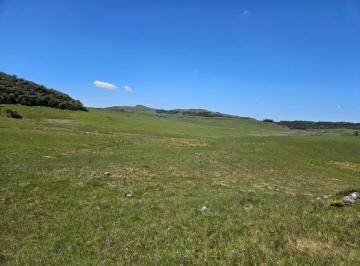 Rural · 985ha · Fazenda com cânion próprio, 985 há na Serra Gaúcha!