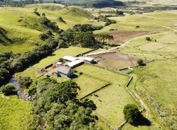 Rural · 121ha · Fazenda completa na Serra Gaúcha!!