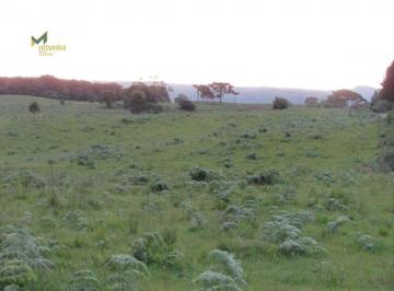 Rural · 550ha · Fazenda para Venda em Picada Jaquirana-RS