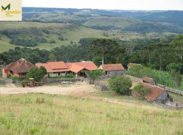 Rural · 223ha · Fazenda muito próxima de Canela, porteira fechada!!