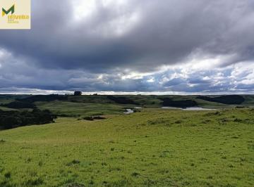 Rural · 100ha · Campo com 100 há, muito próximo da cidade!!