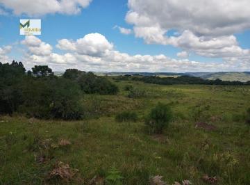 Rural · 147ha · Fazenda com Pinus!!