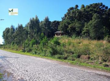 Terreno · 7790m² · Terreno para Venda em Centro Canela-RS