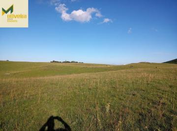 Rural · 34ha · Fazenda à venda no bairro Várzea do Cedro - São Francisco de Paula/RS