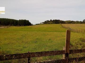Terreno · 12000m² · Terreno para Venda em Rancho Jane Canela-RS