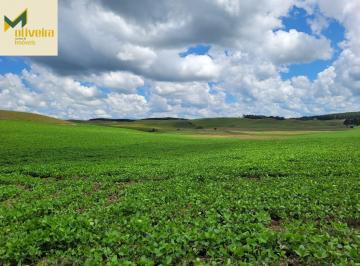 Rural · 45ha · Campo/Lavoura em São Francisco de Paula!!