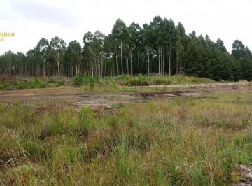 Terreno · 5500m² · Terreno para Venda em Rondinha São Francisco de Paula-RS