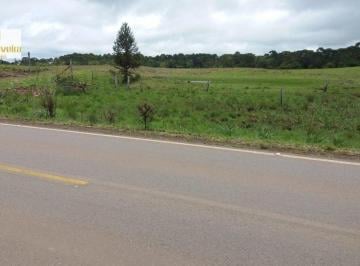 Rural · 35ha · Fazenda para Venda em Azulêga Cambará do Sul-RS